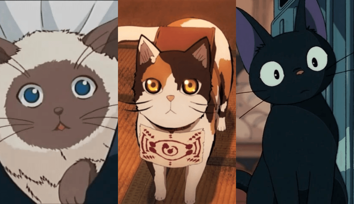 แมว อะนิเมะ