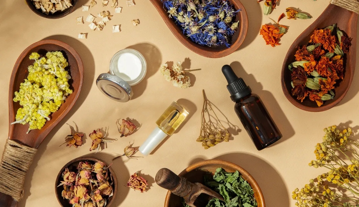 สมุนไพรไทย