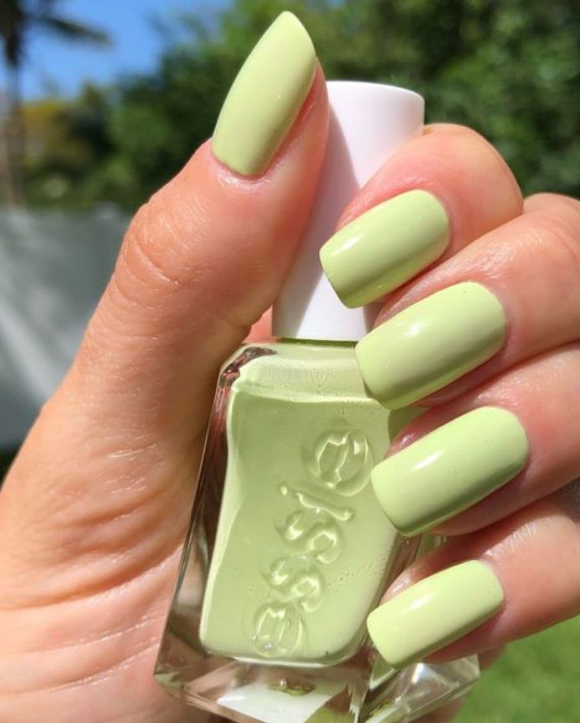 เล็บสีเขียว, เล็บสีเขียวมะนาว