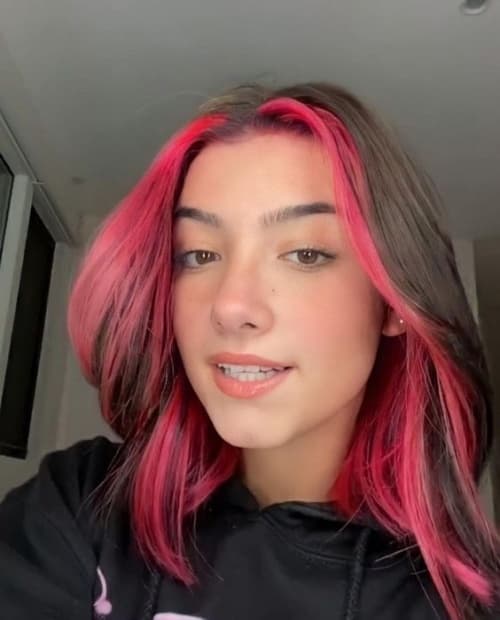 ไฮไลท์ผมสีดำ